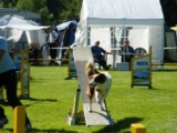 Cyanda
IMCA selectie 30 mei 2009